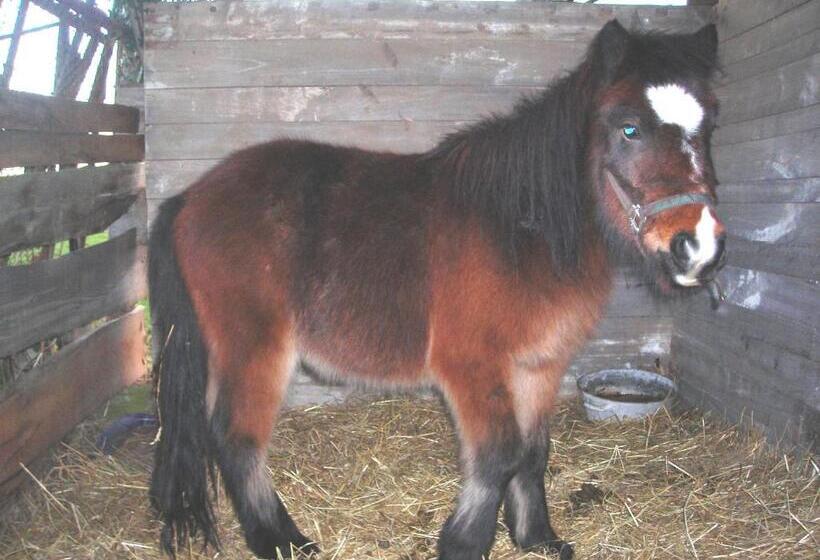 ホテル La Bardelière