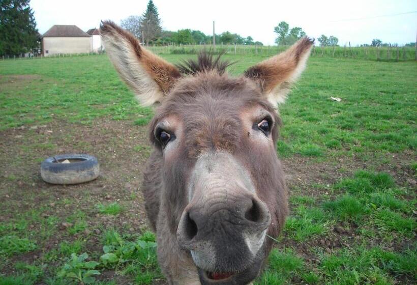 ホテル La Bardelière