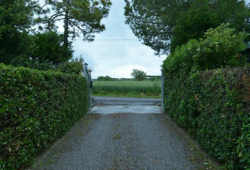 ホテル Nato Contadino