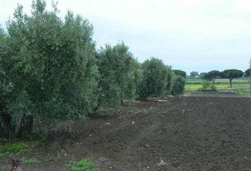 ホテル Nato Contadino