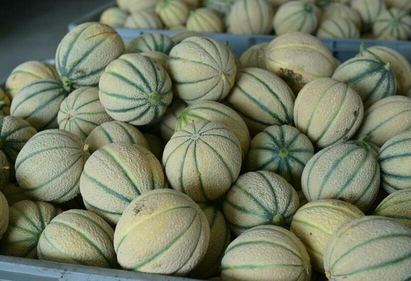 Szálloda Nato Contadino