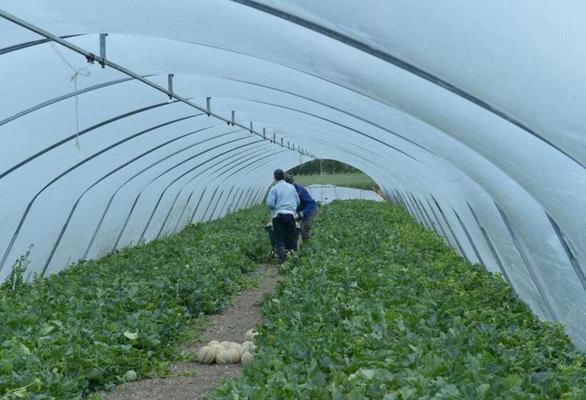 Отель Nato Contadino