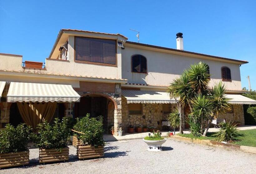 Отель Nato Contadino