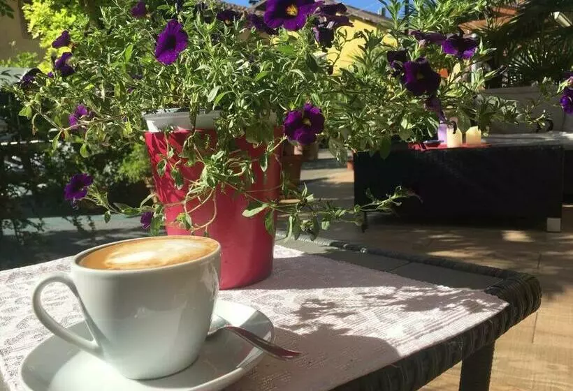 پانسیون Guest House Santiago