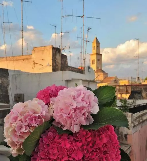 پانسیون Le Nicchie