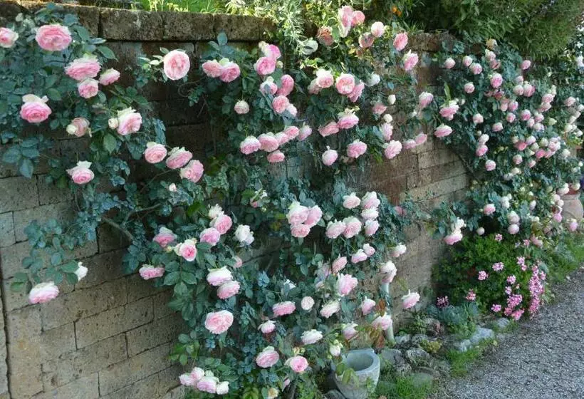 B&b Il Trebbio