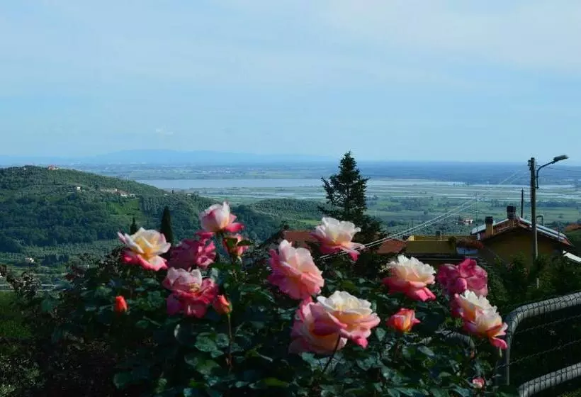 B&b Il Trebbio