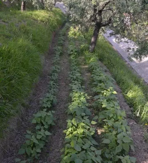 B&b Il Trebbio