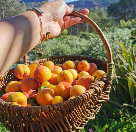 ベッドアンドブレックファースト Bastide Saint Bernard