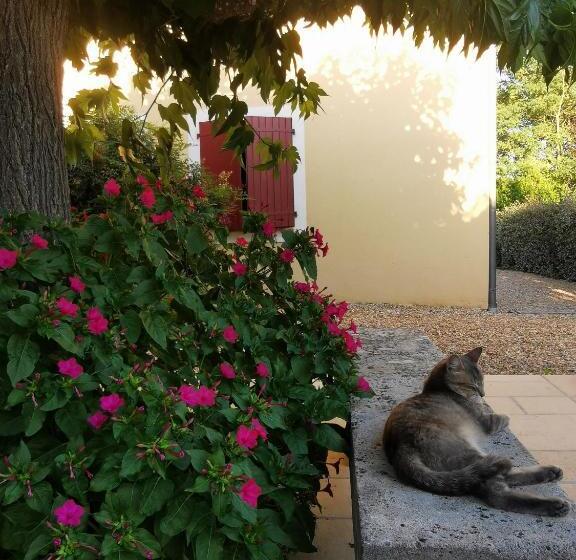 ベッドアンドブレックファースト Bastide Saint Bernard