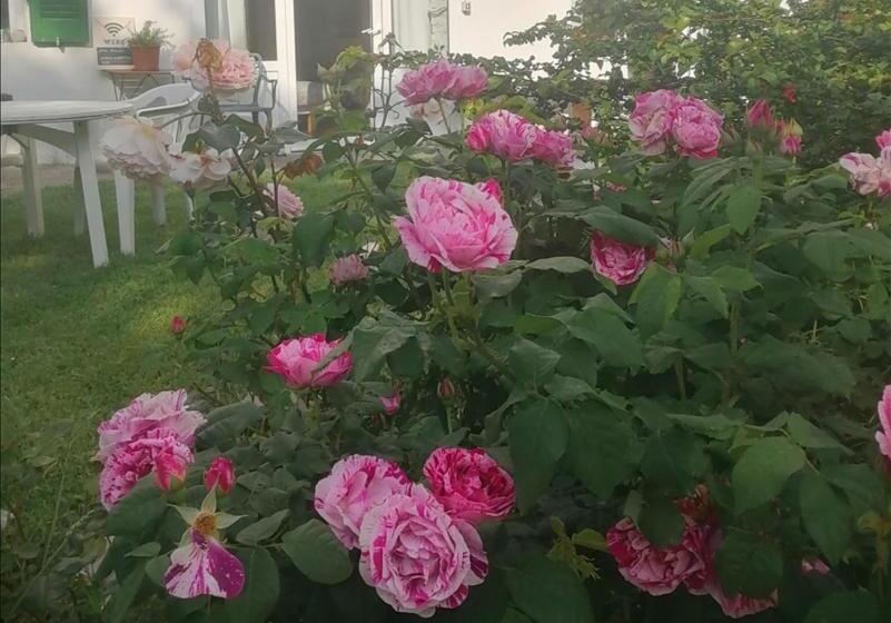 住宿加早餐  Monte Termine Country House