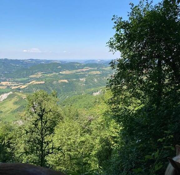 住宿加早餐  Monte Termine Country House