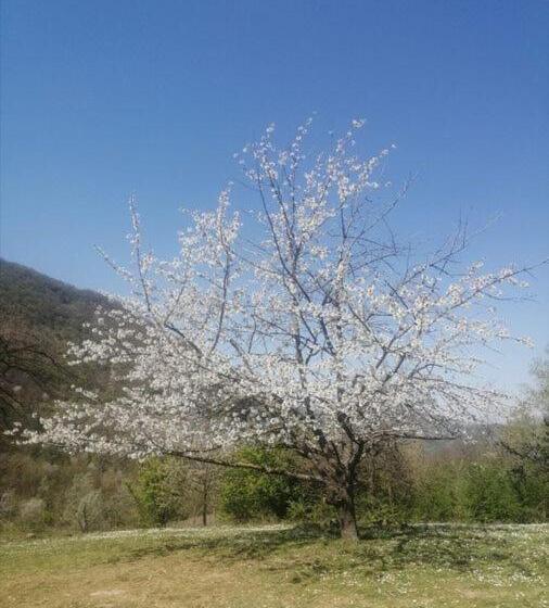 住宿加早餐  Monte Termine Country House