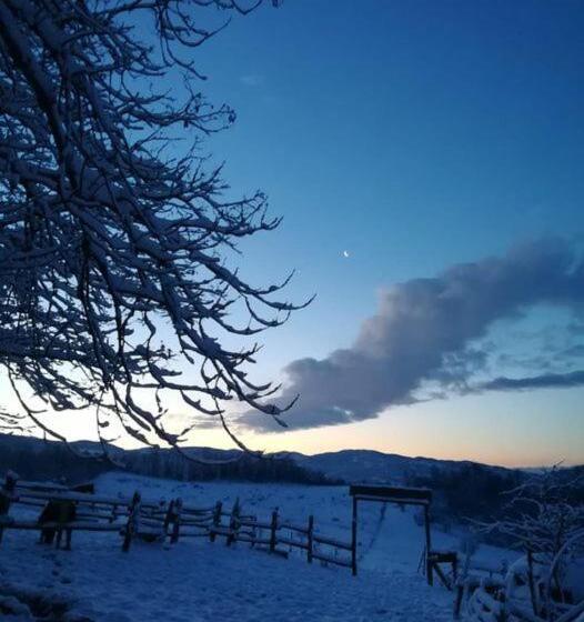 住宿加早餐  Monte Termine Country House