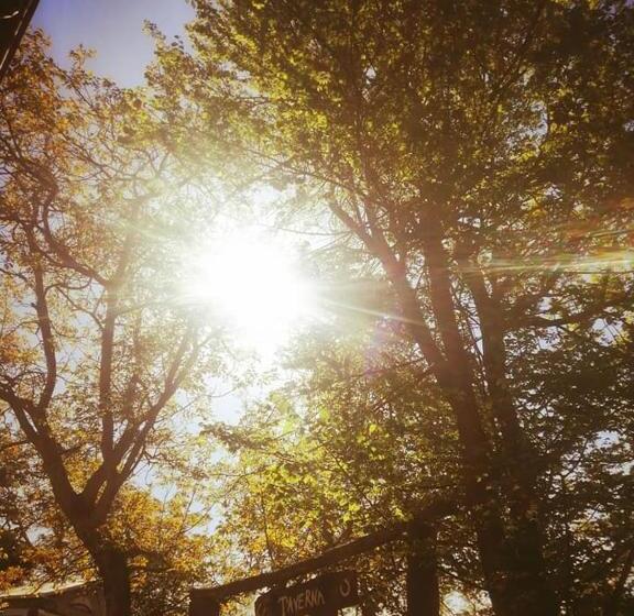 住宿加早餐  Monte Termine Country House