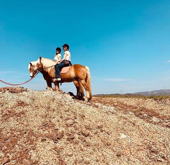 住宿加早餐  Monte Termine Country House