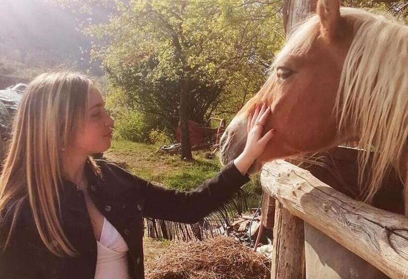 住宿加早餐  Monte Termine Country House