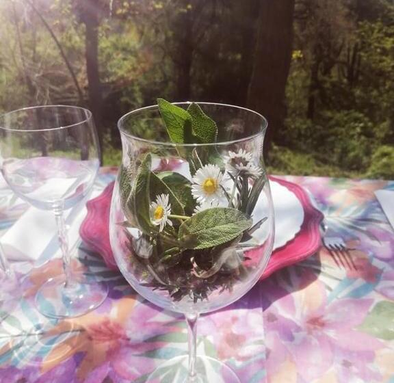 住宿加早餐  Monte Termine Country House