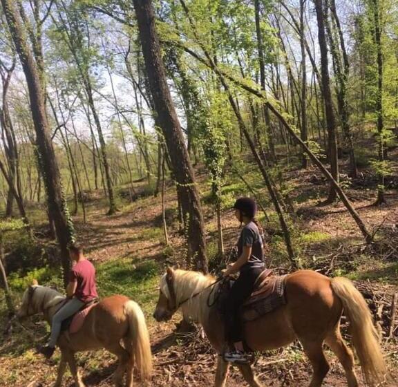 住宿加早餐  Monte Termine Country House