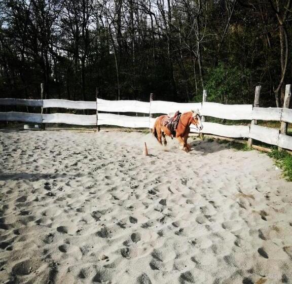 住宿加早餐  Monte Termine Country House