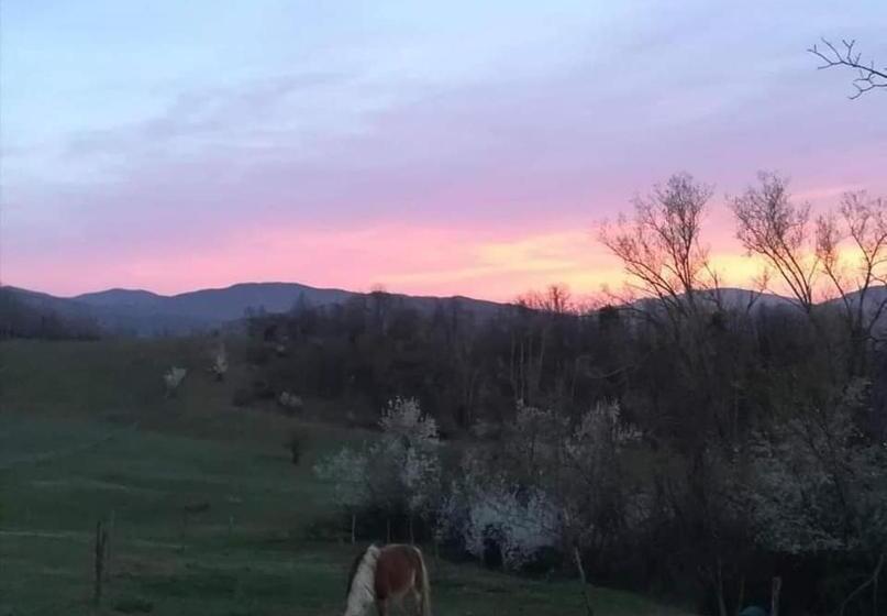 住宿加早餐  Monte Termine Country House