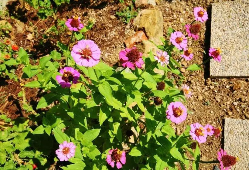 ホテル Agriturismo Costamagna