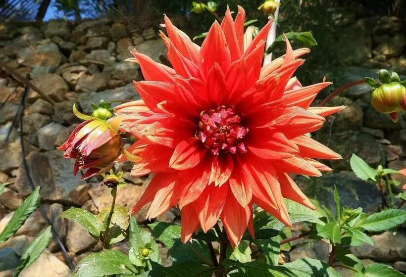 ホテル Agriturismo Costamagna