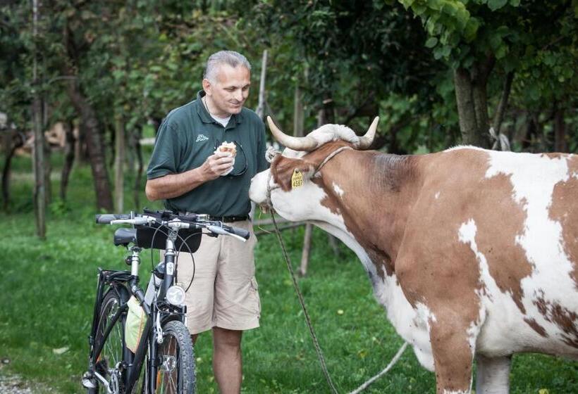 בית מלון כפרי Dai Minisins