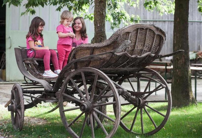 בית מלון כפרי Dai Minisins