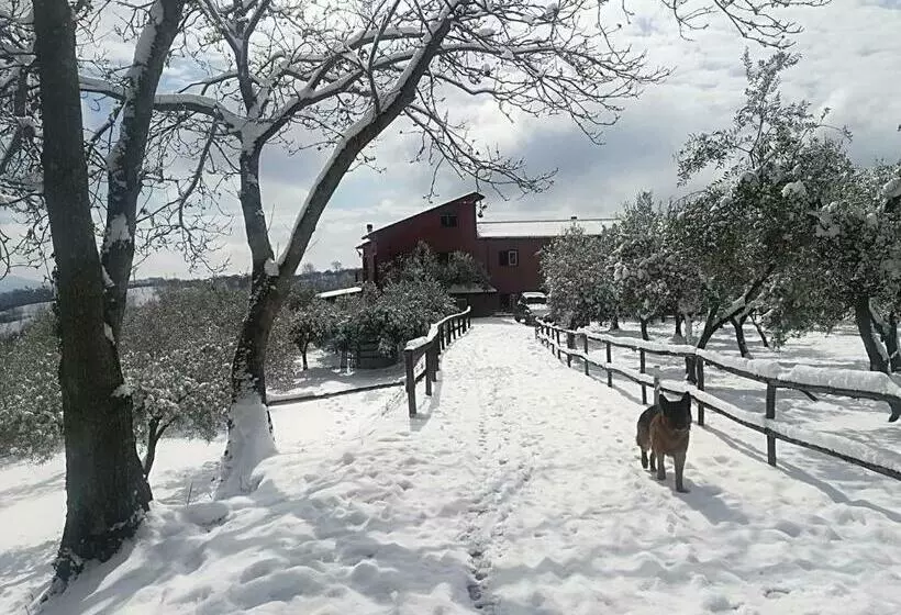 ホテル La Masseriola Agriturismo