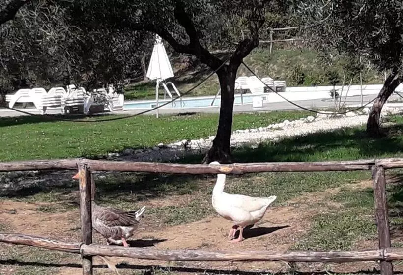 ホテル La Masseriola Agriturismo
