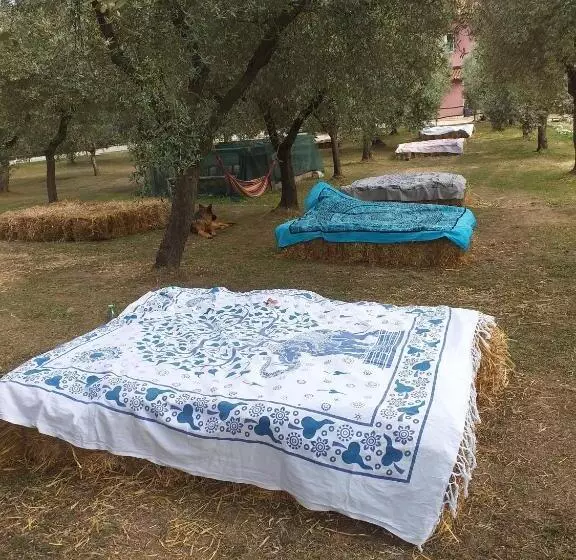 ホテル La Masseriola Agriturismo