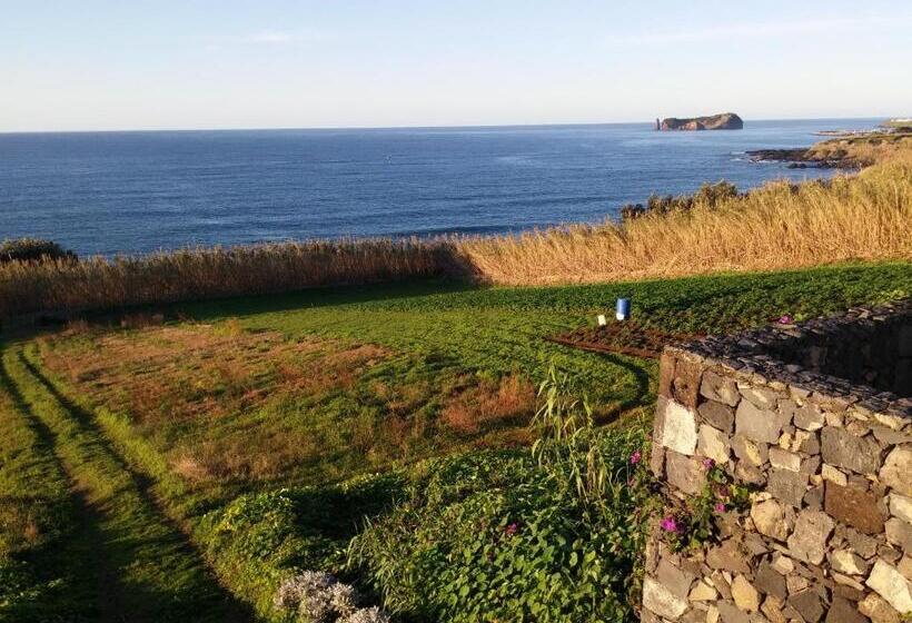 בית מלון כפרי Qva   Quinta Velha Das Amoreiras