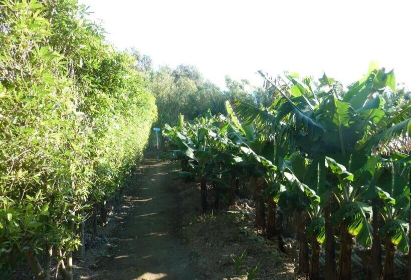 בית מלון כפרי Qva   Quinta Velha Das Amoreiras