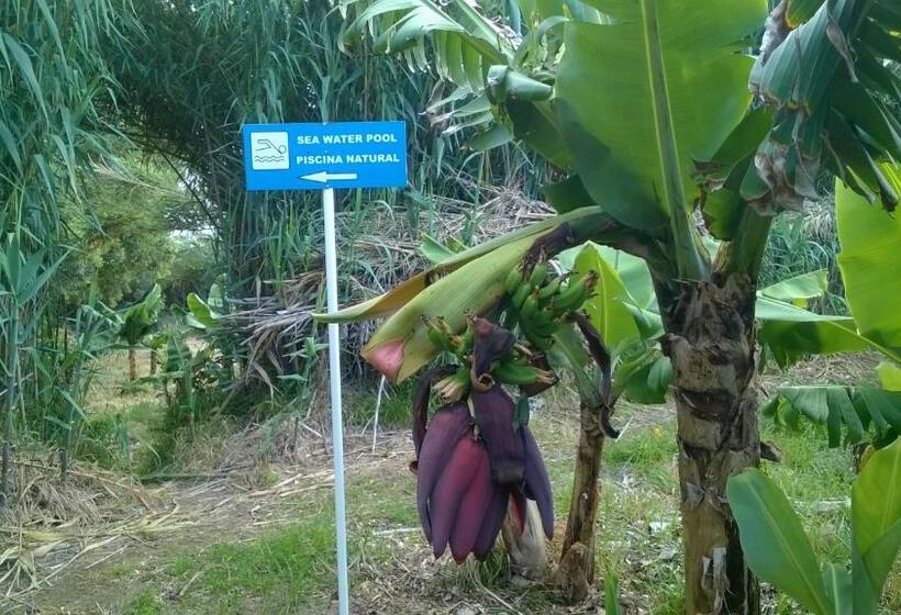 בית מלון כפרי Qva   Quinta Velha Das Amoreiras