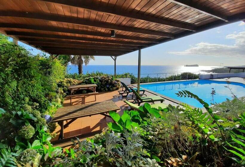 בית מלון כפרי Qva   Quinta Velha Das Amoreiras