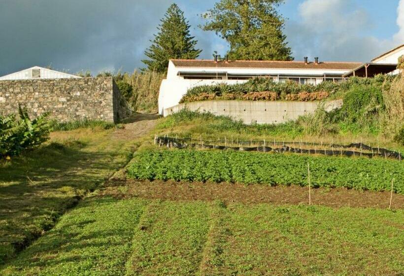 בית מלון כפרי Qva   Quinta Velha Das Amoreiras