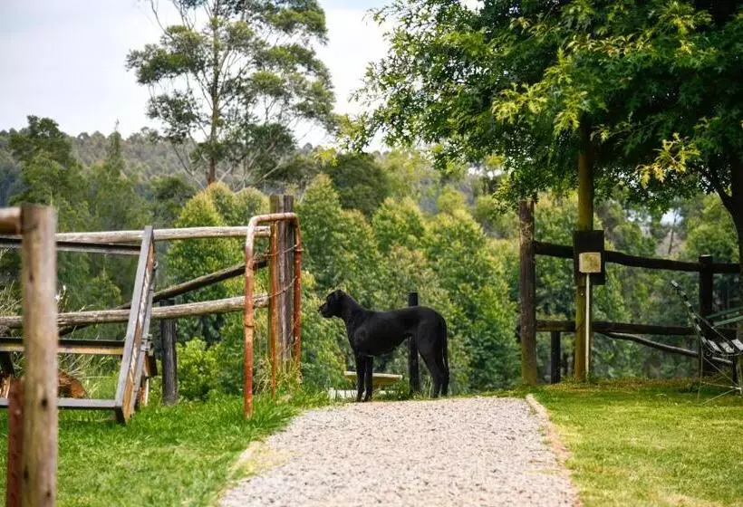 ホテル The Knoll Historic Guest Farm