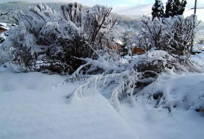 ペンション B&b Chalet L Epinette