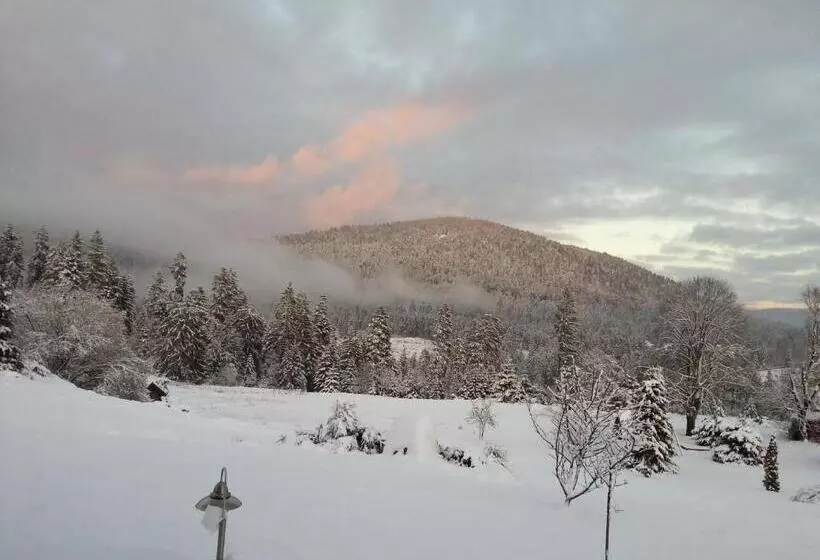 ペンション B&b Chalet L Epinette