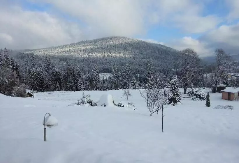 ペンション B&b Chalet L Epinette