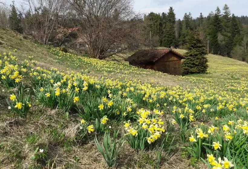 ペンション B&b Chalet L Epinette