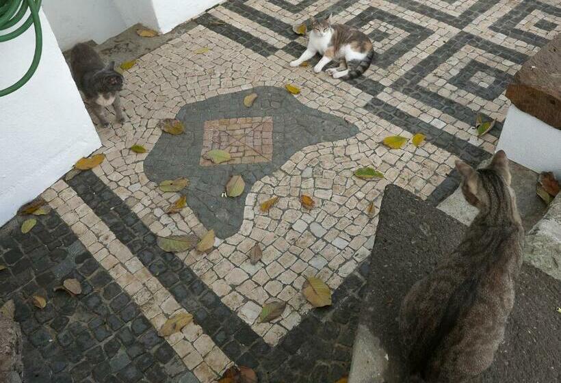 Пансион Casadangra, Bnb