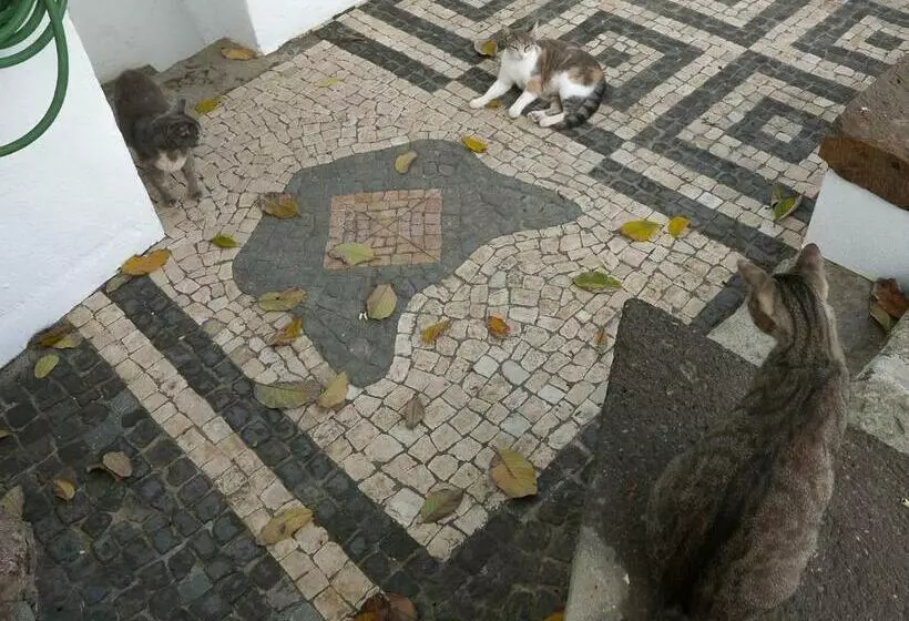 Majatalo Casadangra, Bnb