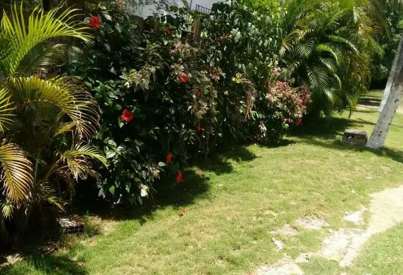 Majatalo Pousada Rosa Dos Ventos