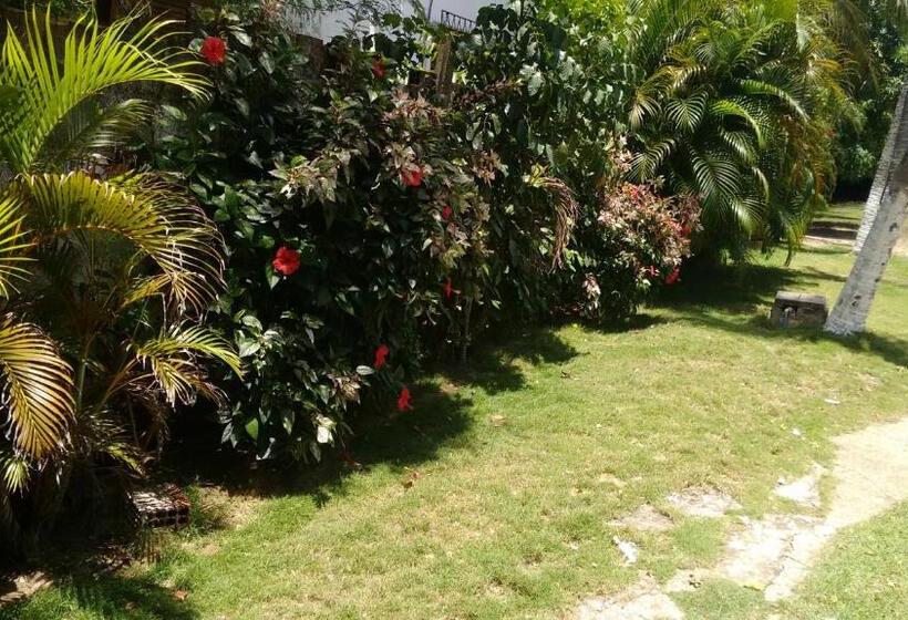 Pensão Pousada Rosa Dos Ventos