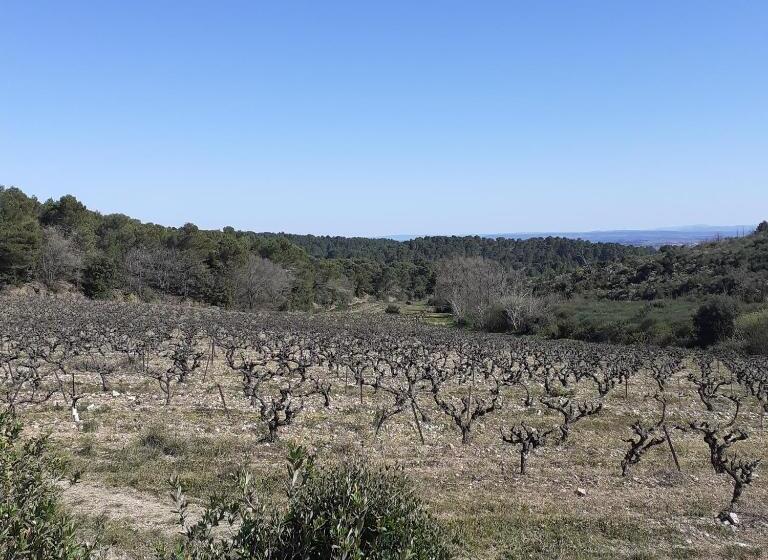 مبيت وإفطار Les Deux Arches