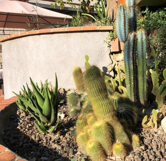 Bed & Breakfast Lujocanda