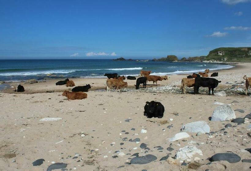 Glen Haven Bed And Breakfast