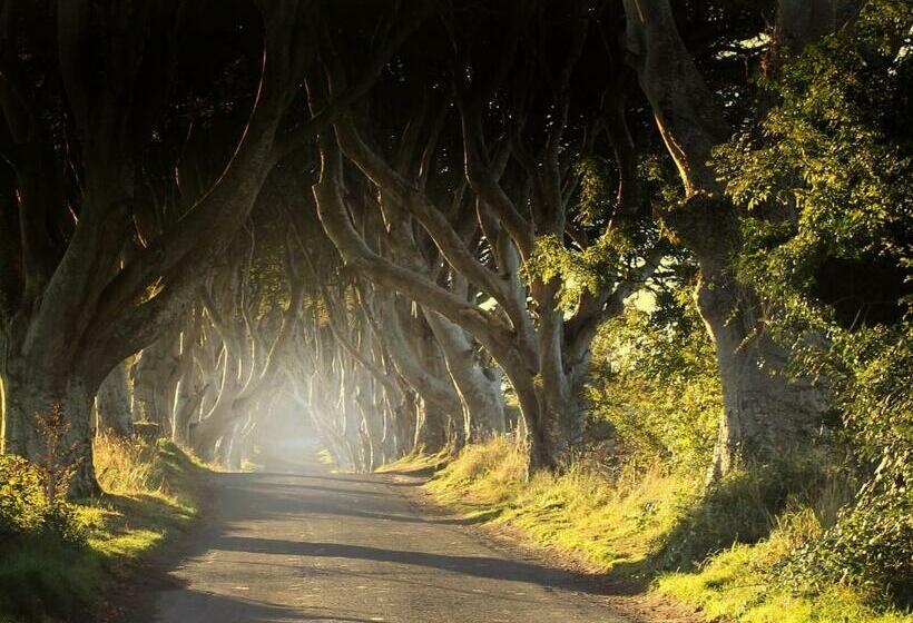 Glen Haven Bed And Breakfast